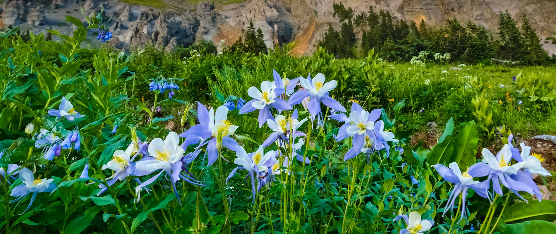 CO mountains CO mountains - Senior Living in Denver Area, CO